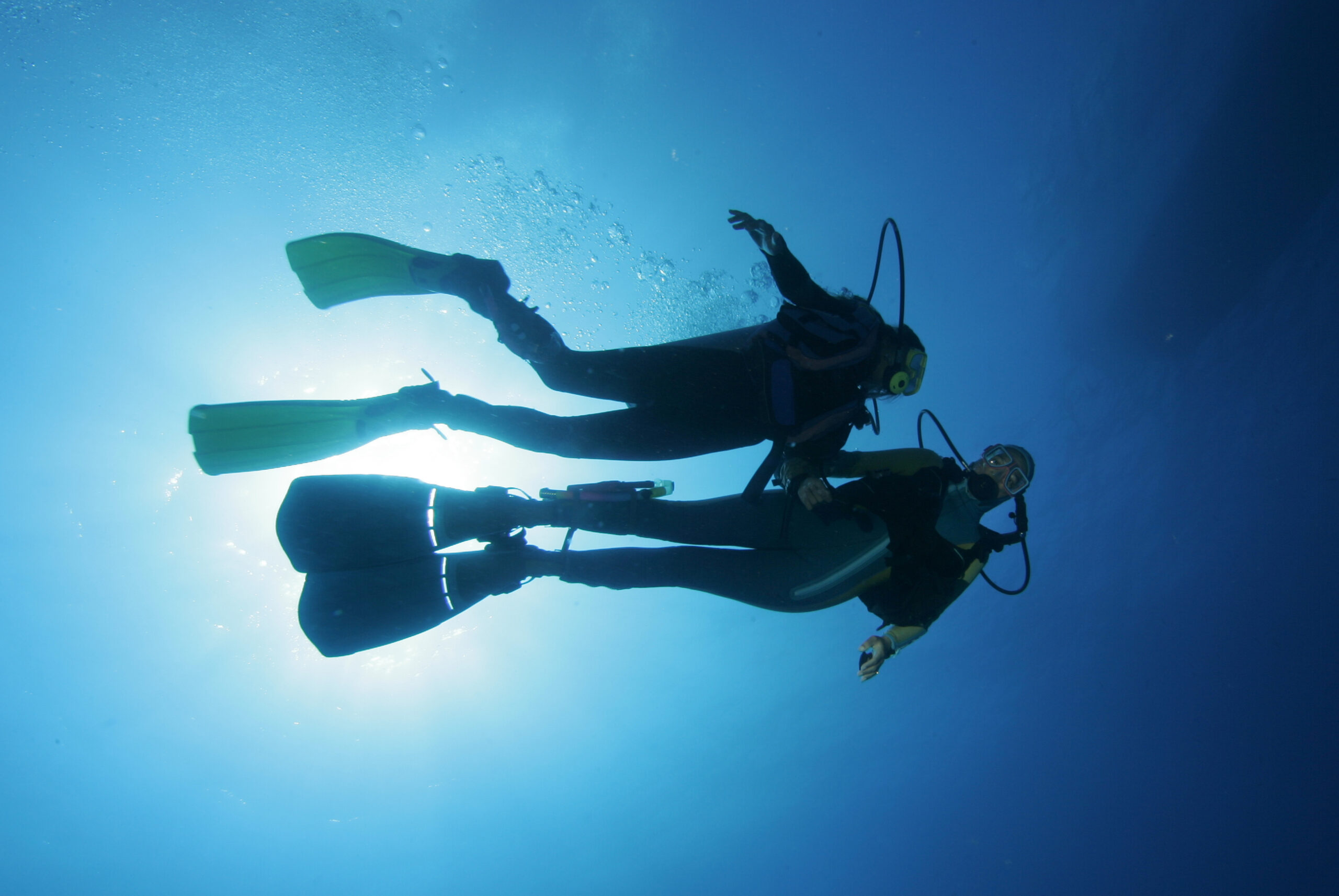 Divers in the Water