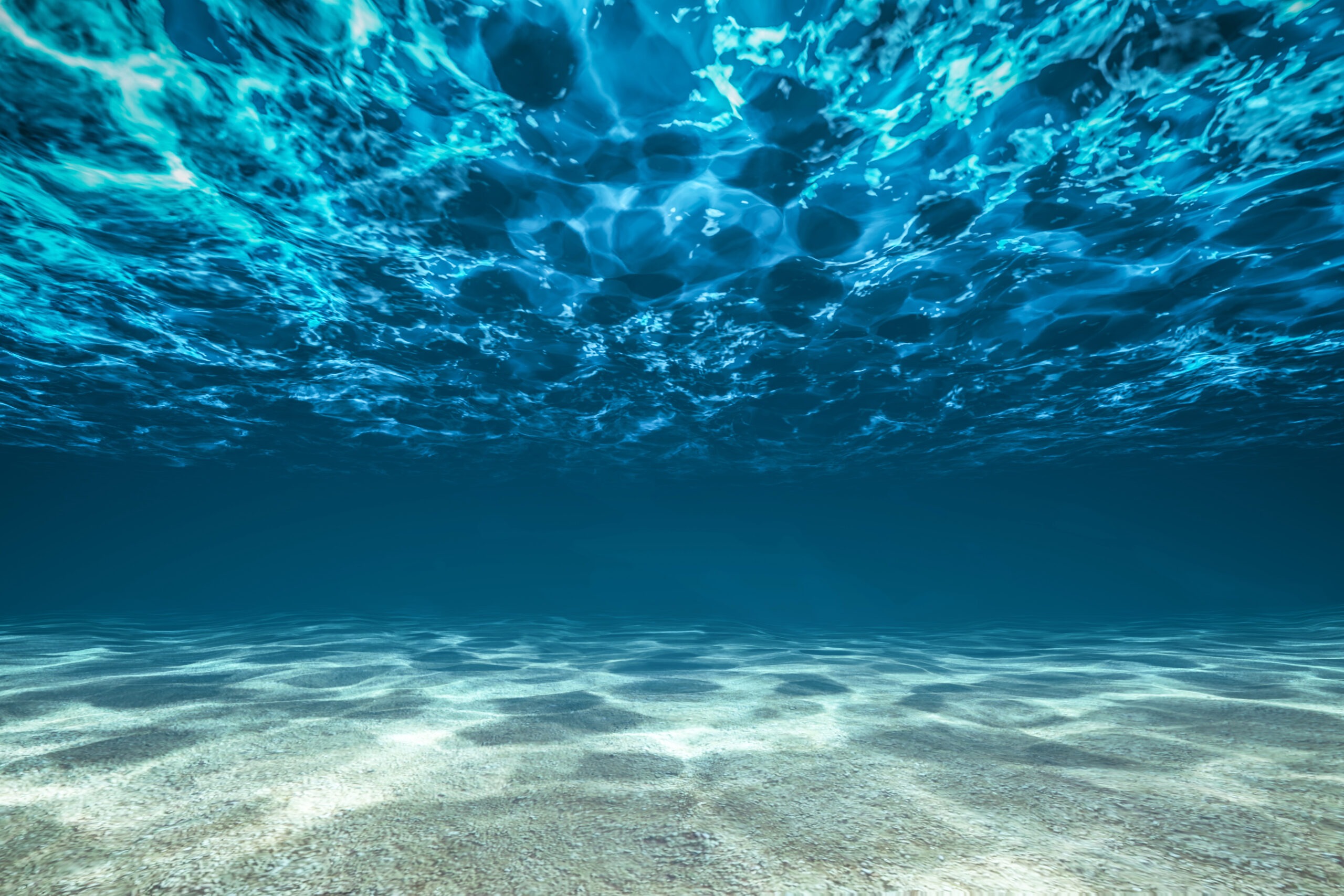 View Beneath Surface