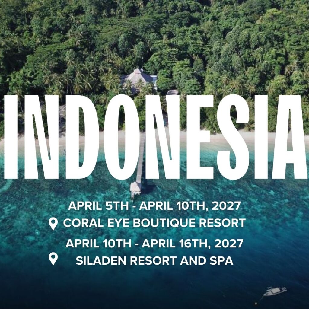 Indonesia heading, trees and sea at the background