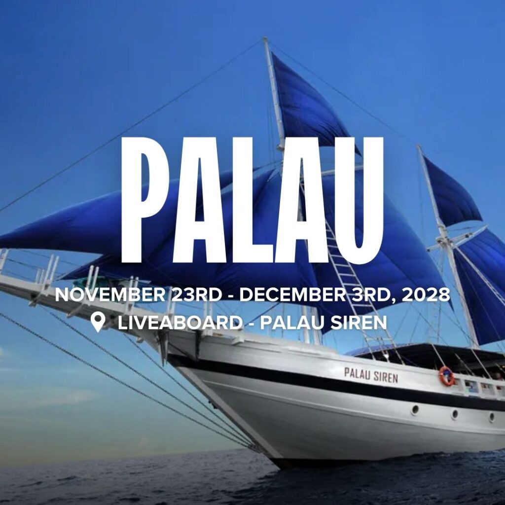 Palau, yacht in the sea at the background