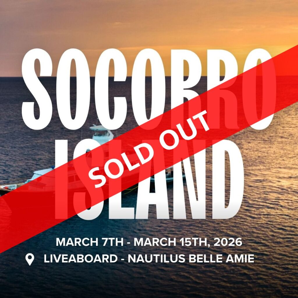 Socorro Island Sold out